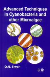 Cover of Advanced Techniques in Cyanobacteria and other Microalgae